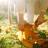 Smiling girl collects yellow leaves in autumn. Young woman enjoying autumn weather