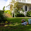 Beautiful garden at backyard