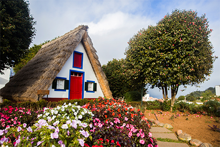 Aged residential cottage, surrounded by a vibrant landscape of park