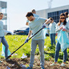 Volunteers picking up trash in community