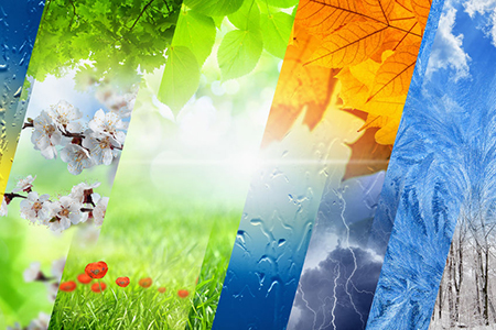 Beautiful nature background - four seasons of year collage, vibrant images of different time of year