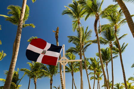 Dominican Republic flag waving in the wind against palm trees and blue sky