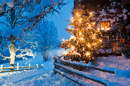 View of illuminated christmas tree in snow