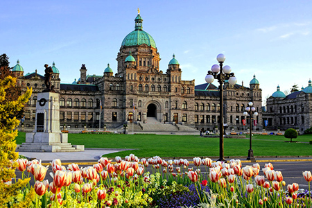 Historic British Columbia provincial parliament building with spring tulips, Victoria, BC, Canada