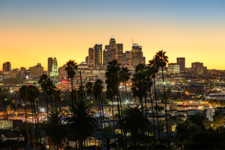 Beautiful sunset through the palm trees, Los Angeles, California