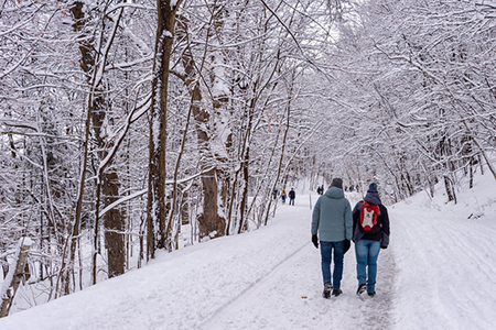 walking on a snowy trail