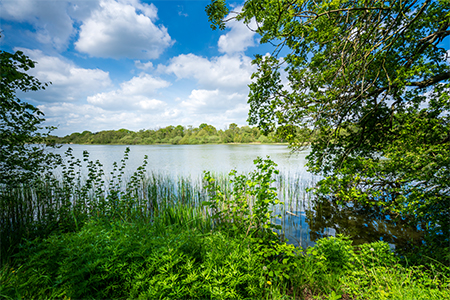 View across the lake inside the beautiful Fairfield Garden