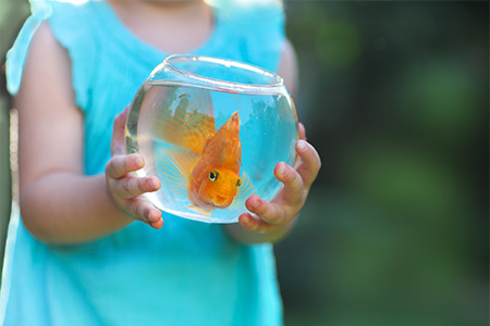 Little baby girl holding a fishbowl with a goldfish