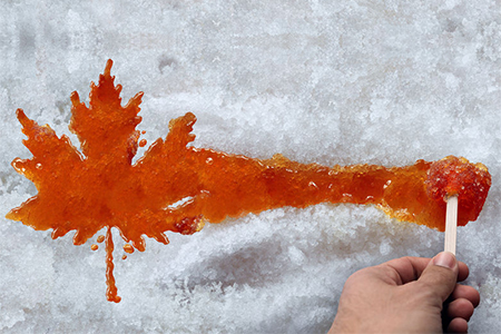 Maple taffy leaf or boiled tree sweet boiled sap syrup on snow