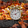 An old fashion, alarm clock set on a log surrounded by fallen, autumn-colored leaves