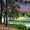 Beautiful natural scenery of river in forest with twilight in coniferous woods and river