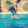 Zookeeper practicing with dolphins tricks in large pool.