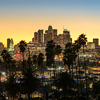 Beautiful sunset through the palm trees, Los Angeles, California