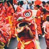 Traditional lion dance during Chinese New Year celebration